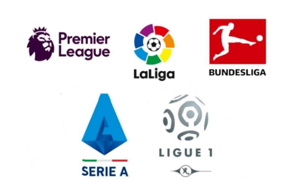 在职业赛事 在职业赛事